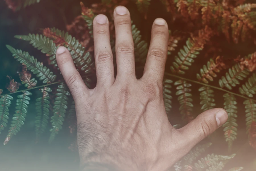 La mano de una persona experimenta una sensación de hormigueo por ansiedad, sobre un fondo de hojas de helecho con un efecto de enfoque suave y una superposición de color cálido y vintage.