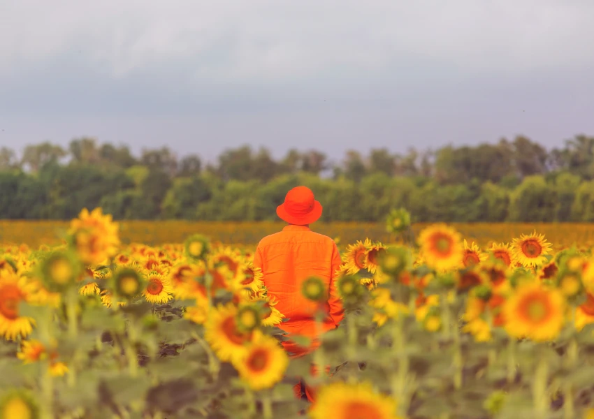 Una persona vestida de color naranja se encuentra en un campo de girasoles, exudando autoestima mientras mira hacia otro lado, con árboles y un cielo nublado en el fondo.